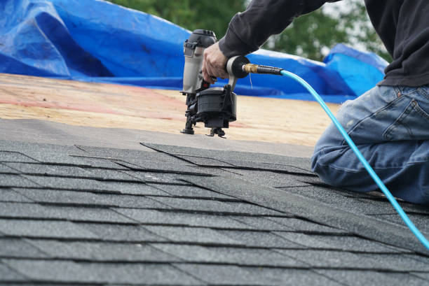 Best Residential Roofing Contractor  in Lake Fenton, MI