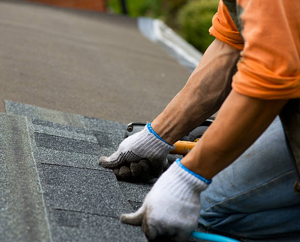 Best Flat Roof Repair Services  in Lake Fenton, MI