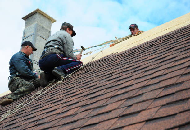 Quick and Trustworthy Emergency Roof Repair Services in Lake Fenton, MI