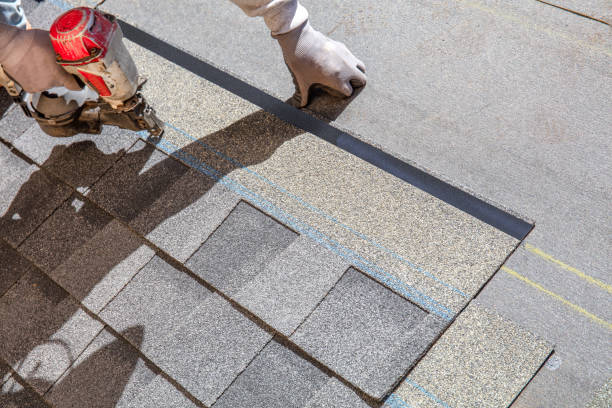 Best Shingle Roofing Installation  in Lake Fenton, MI